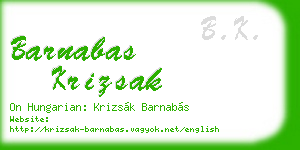 barnabas krizsak business card